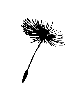 (m&aelig;lkeb&oslash;ttefnug)